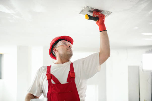 Best Emergency Mold Remediation  in Ozark, MO