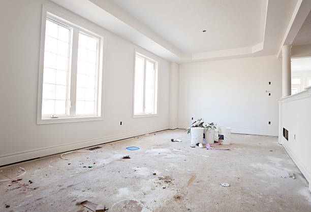 Best Basement Mold Removal  in Ozark, MO